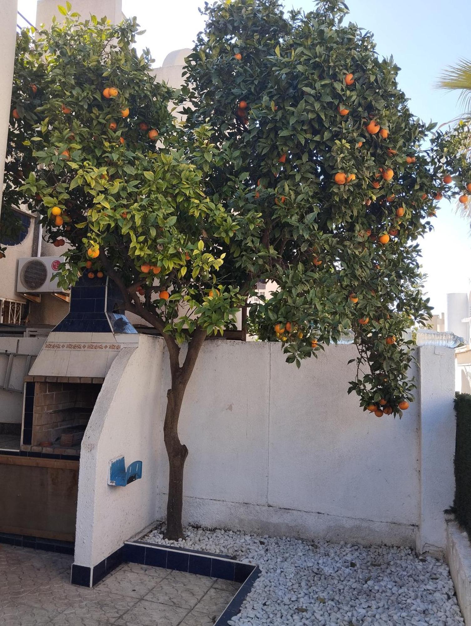 Z&R - Alcyone Villa Torrevieja Kültér fotó